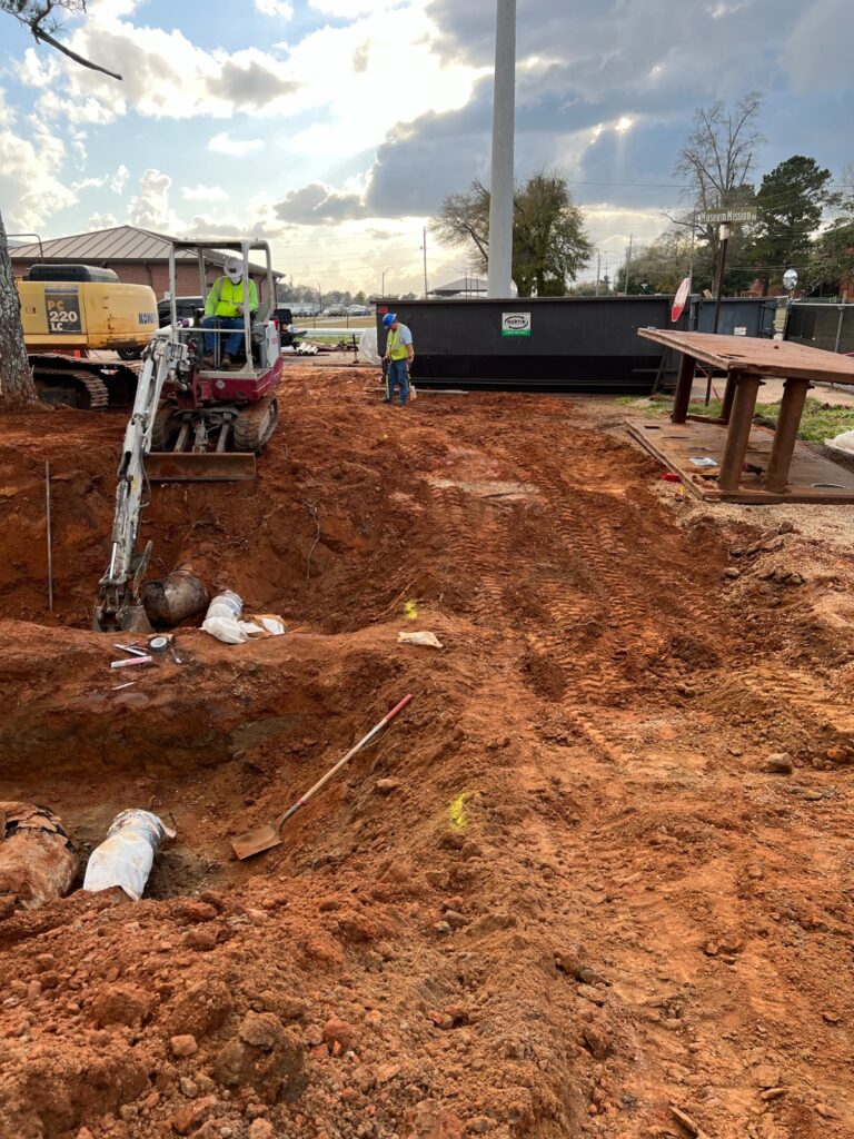 WhatsApp Image 2026-02-08 at 4.39.49 PM