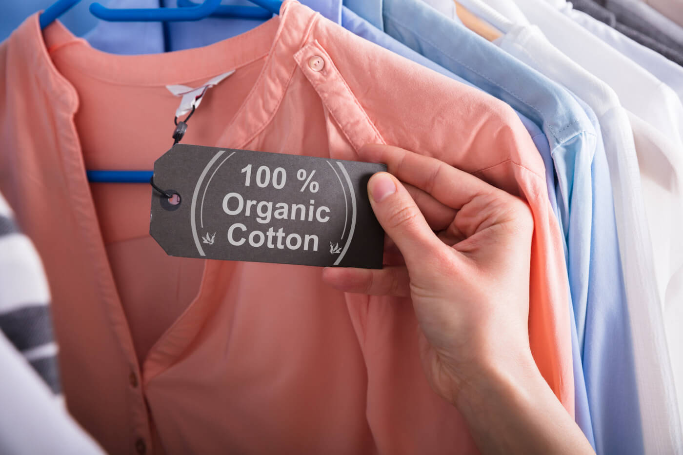 organic_clothing_brands_image