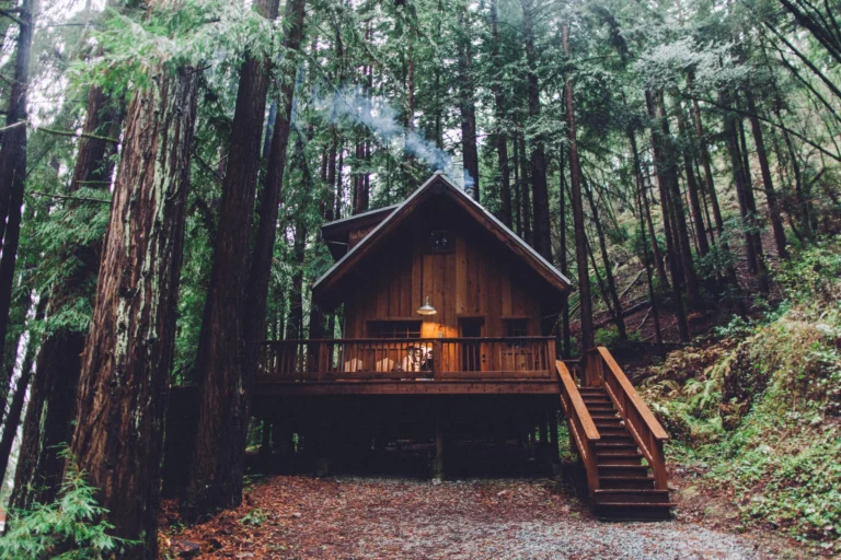 e6zuplujlm5djxe17c6e